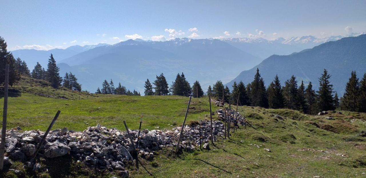 Ferienwohnungen Hochzillertal Kaltenbach Extérieur photo